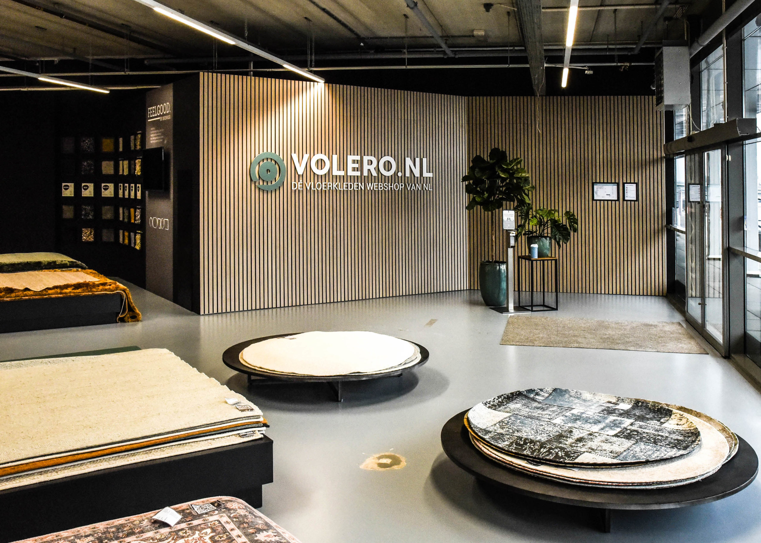 Volero5
